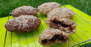 Read more about the article Homemade Belvita