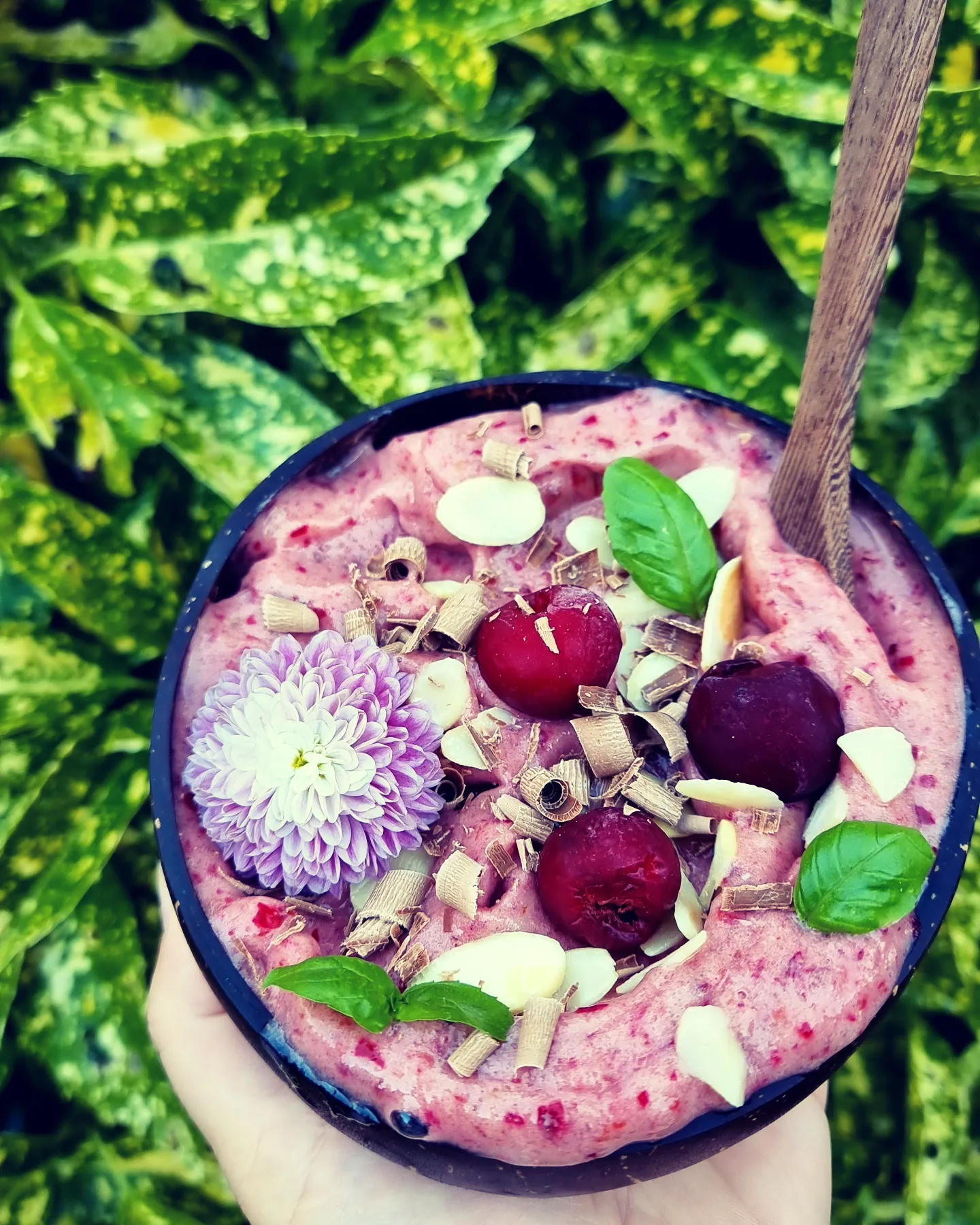 You are currently viewing Înghețată cu banane și vișine