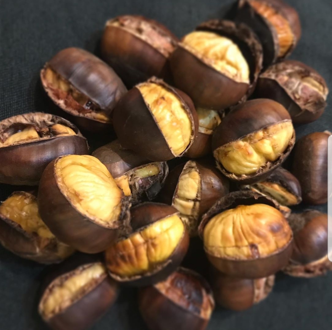 You are currently viewing Castane coapte